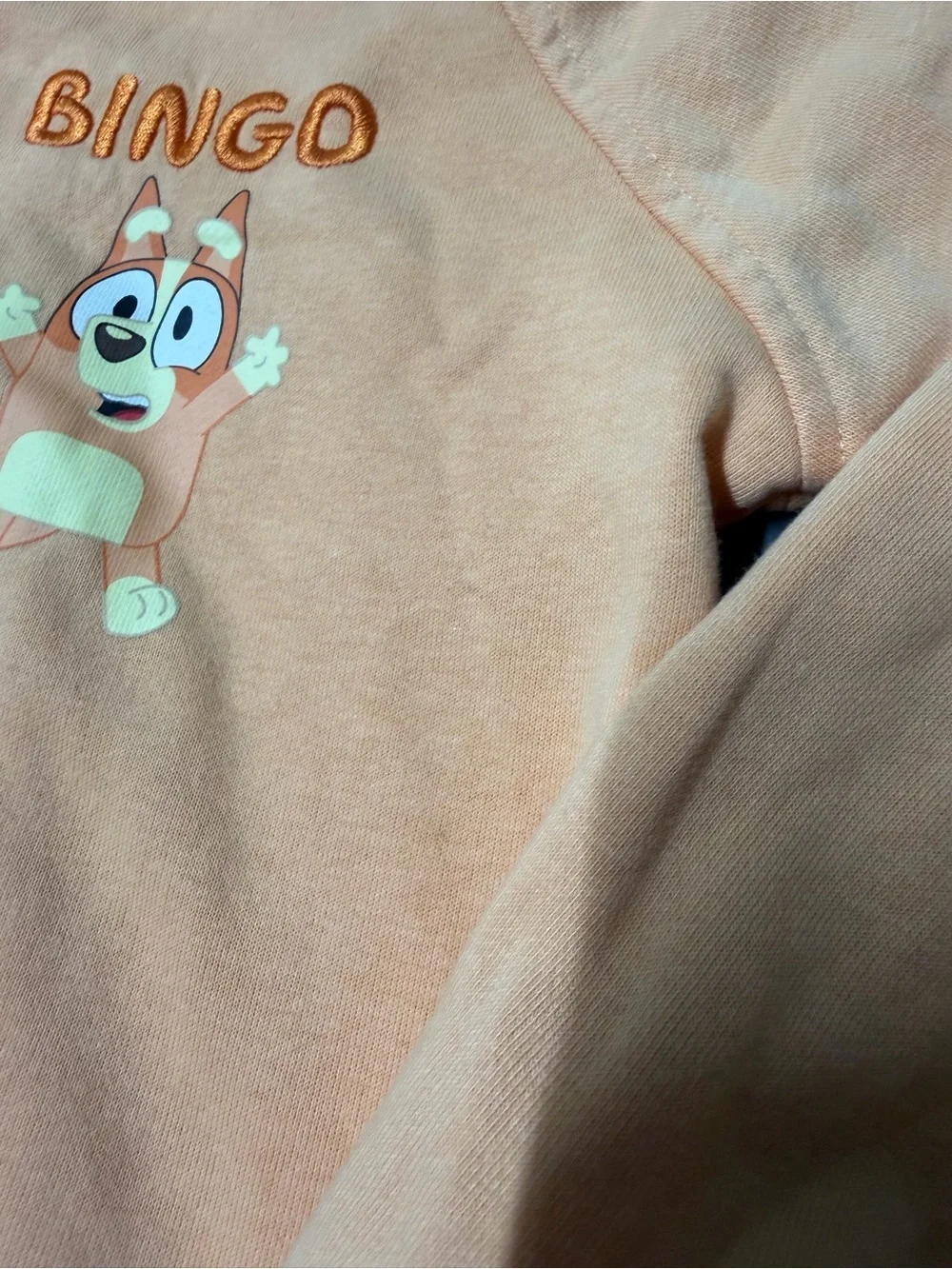Bingo Kids Peach Hoodie Jacket with Character Hood girl L 10/12